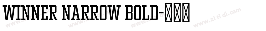 Winner Narrow Bold字体转换